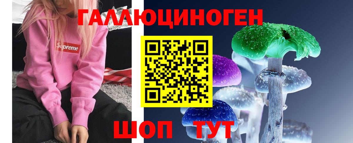 Кирово-Чепецк  Галлюциногенные грибы Psilocybine cubensis  Вход с VPN 